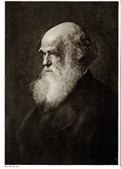1809 1881: Charles Robert Darwin (1809-1881)