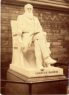 1809 1881: Charles Robert Darwin (1809-1881)