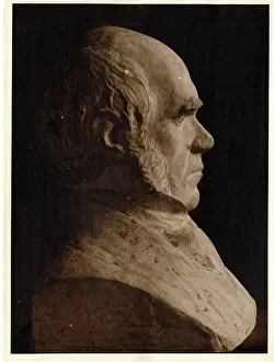 1809 1881: Charles Robert Darwin (1809-1881)
