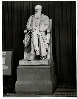 1809 1881: Charles Robert Darwin (1809-1881)