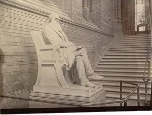 1809 1881: Charles Robert Darwin (1809-1881)