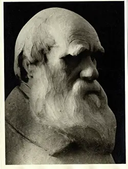 1809 1881: Charles Robert Darwin (1809-1881)