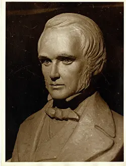 1809 1881: Charles Robert Darwin (1809-1881)