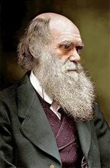Taxonomy: Charles Robert Darwin (1809-1882)