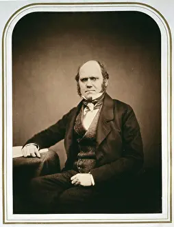 Maull: Charles Robert Darwin (1809-1882)