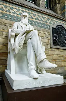 Boehm: Charles Robert Darwin (1809-1882)