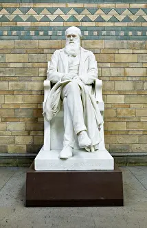 Boehm: Charles Robert Darwin (1809-1882)