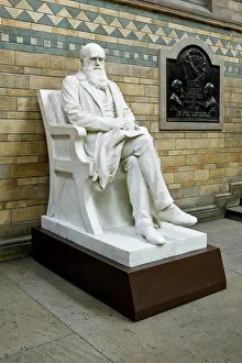 Boehm: Charles Robert Darwin (1809-1882)