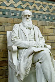 Boehm: Charles Robert Darwin (1809-1882)