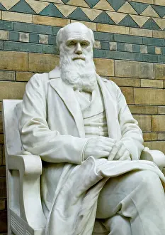 Boehm: Charles Robert Darwin (1809-1882)