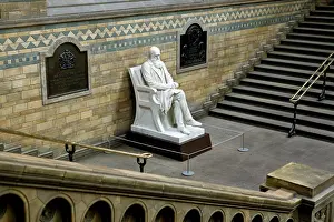 Boehm: Charles Robert Darwin (1809-1882)