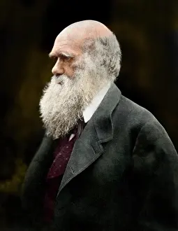 Evolutionist: Charles Robert Darwin (1809-1882)