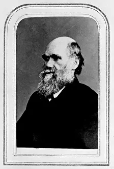 Evolutionist: Charles Robert Darwin (1809-1882)