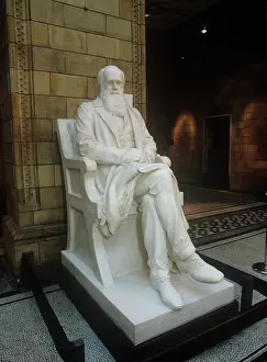 Darwin200: Charles Robert Darwin (1809-1882)