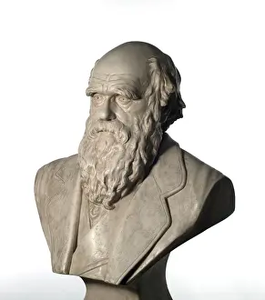 1809 1882: Charles Robert Darwin (1809-1882)