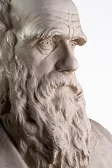 1809 1882: Charles Robert Darwin (1809-1882)