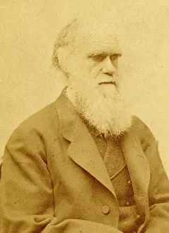 Evolutionist: Charles Robert Darwin (1809-1882)