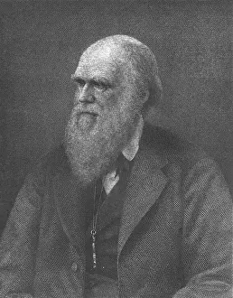 Emotions: Charles Robert Darwin, English Naturalist