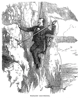 Nests: Charles Waterton