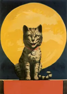 Aunt: Charley's Aunt
