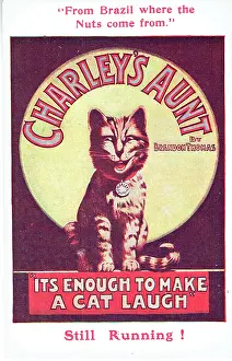 Grins: Charley's Aunt by Brandon Thomas