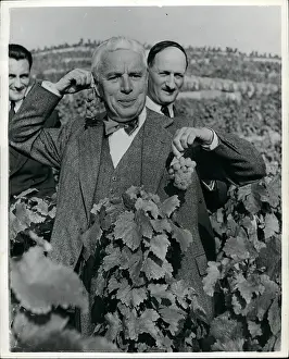 Villette: Charlie Chaplin gathering grapes, Lausanne, Switzerland