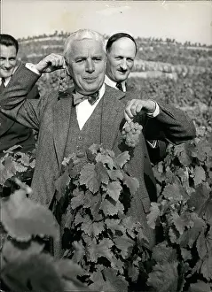 Villette: Charlie Chaplin gathering grapes, Lausanne, Switzerland