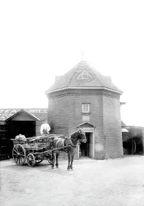 Charlwood: Charlwood, the Old Mill 1906