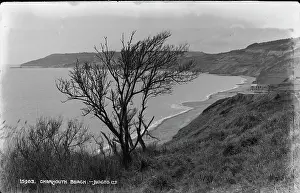 Charmouth: Charmouth Beach View
