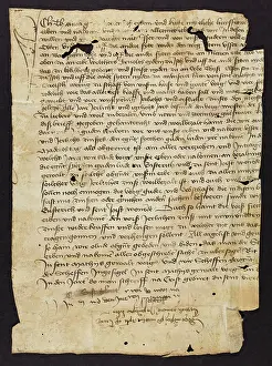 Appears: Charter (Fragments)