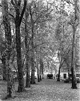 Finsbury: CHARTERHOUSE SQUARE/1980
