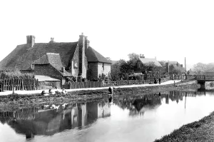 Chartham: Chartham, the River 1906