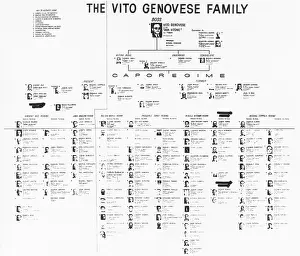 Subcommittee: Charts show the internal organization of the crime