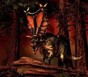 Boulder: Chasmosaurus was a ceratopsid dinosaur from the Upper ?