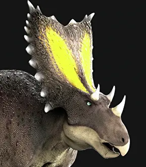 Behemoth: Chasmosaurus dinosaur portrait