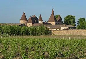 Domaine: Chateau de Corcelles-en-Beaujolais, Beaujolais, France