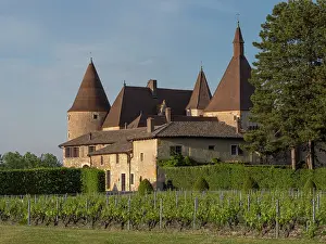 Domaine: Chateau de Corcelles-en-Beaujolais, Beaujolais, France