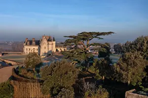 Perpendicular: Chateau d'Amboise