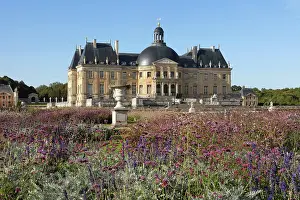 Verbena: Chateau de Vaux-le-Vicomte, Maincy, Seine-et-Marne, France