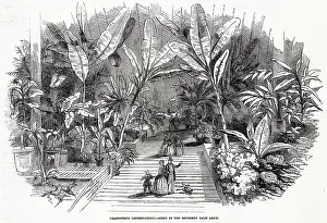 Greenhouses: Chatsworth House - Conservatory 1846