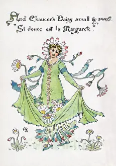 Chaucer: Chaucer's Daisy
