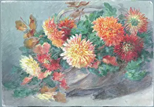 Pressland: Chaysanthemums'. Flowers