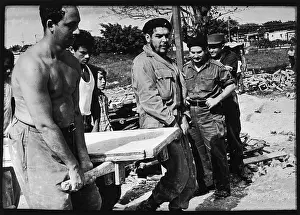 Theorist: CHE GUEVARA/SUNDAY