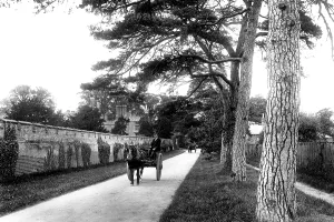 Cheam: Cheam, Nonsuch Park 1904