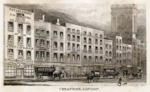 Civet: Cheapside, London