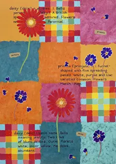 Primulas: Check design with flowers