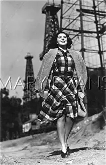 Shirtwaister: CHECK DRESS 1945