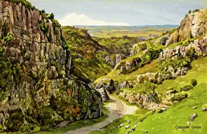Cheddar Gorge, Somerset