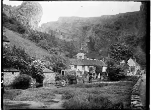 Coxs: CHEDDAR, SEDGEMOOR, SOMERSET