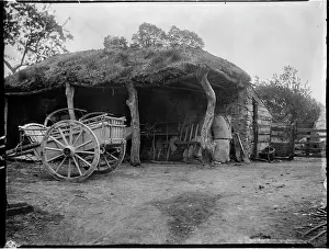 Sedgemoor: CHEDDAR, SEDGEMOOR, SOMERSET